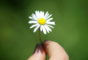 Aktuellt på FoU Nordost – läs om vad som är på gång i vårt senaste nyhetsbrev!